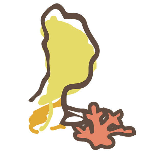 ���h�k���Y